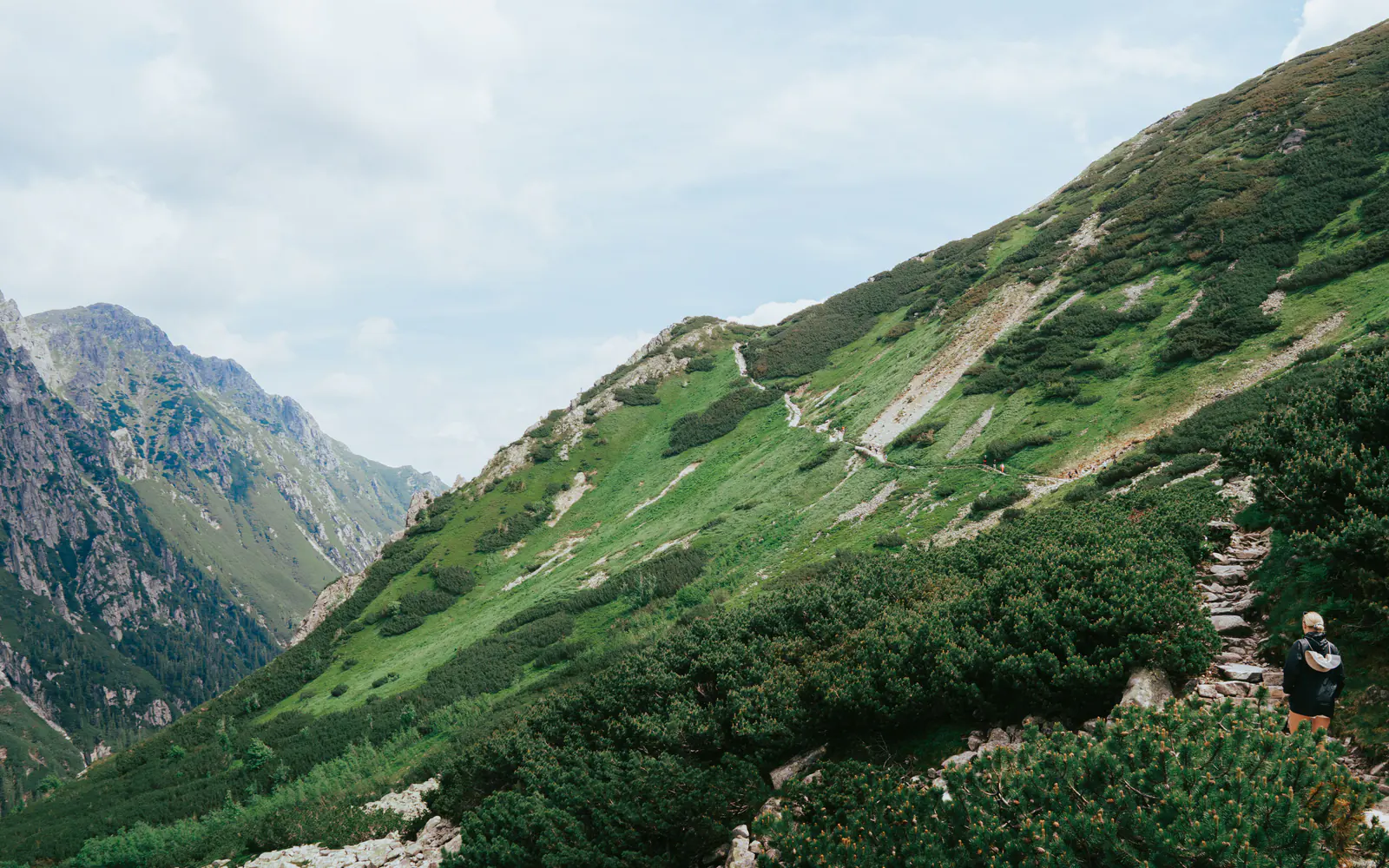 A hiker follows a climbing trail across a broad green mountain slope in the Tatras.