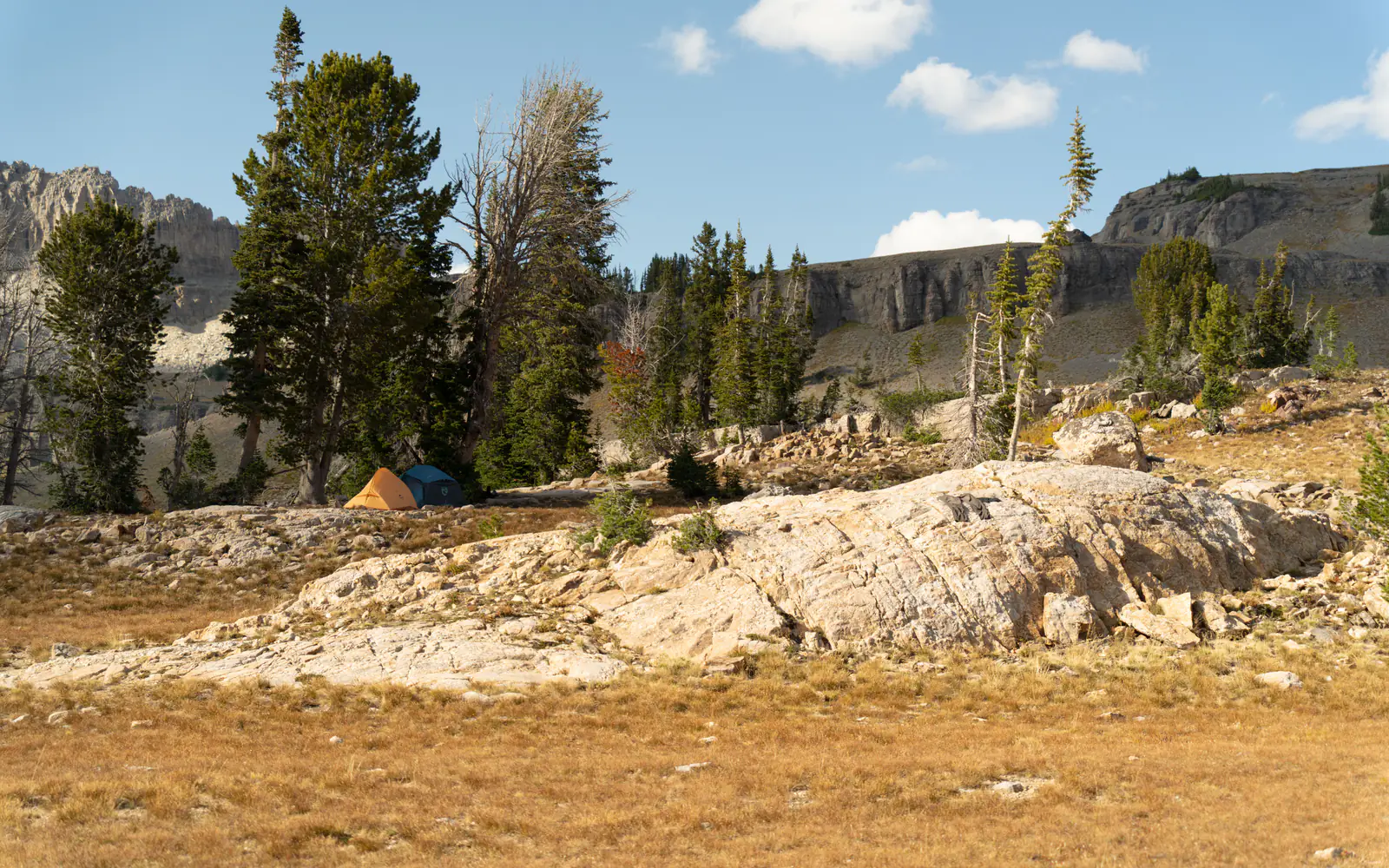 Two small tents form a remote backcountry campsite among rocks and pine trees.