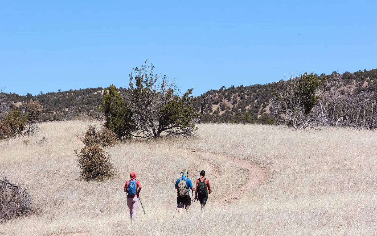 Three hikers cross a dry open trail beneath a clear blue sky in New Mexico.