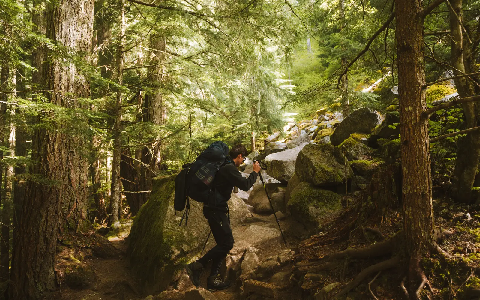 A hiker with a backpack walks a sunlit forest trail among mossy rocks and tall trees.