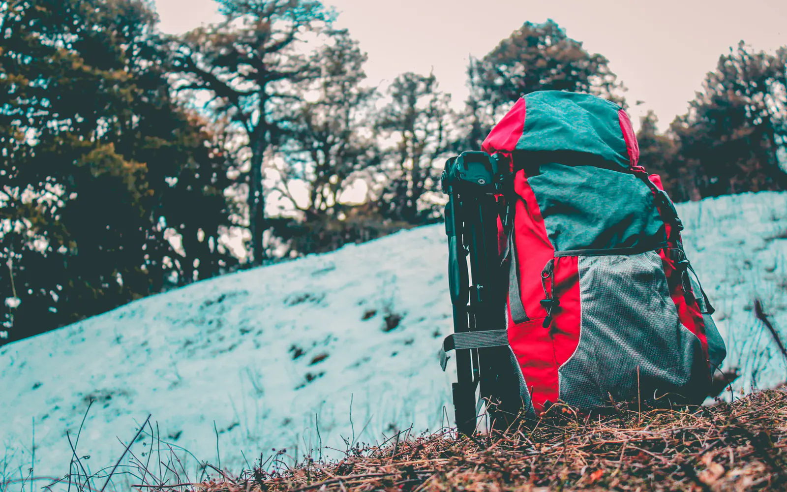 A packed hiking backpack stands ready beside a snowy woodland trail.